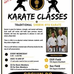 Karate – Traditional Shorin – Ryu Karate