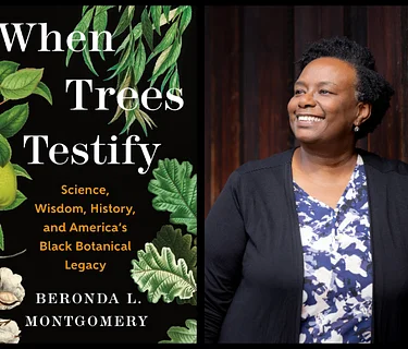 ‘When Trees Testify’ by Beronda Montgomery