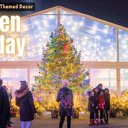 Beacon Park Golden Holiday Winter Lighting and Themed Décor