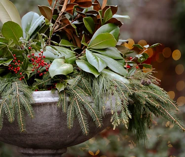 Garden to Vase: Holiday Centerpiece