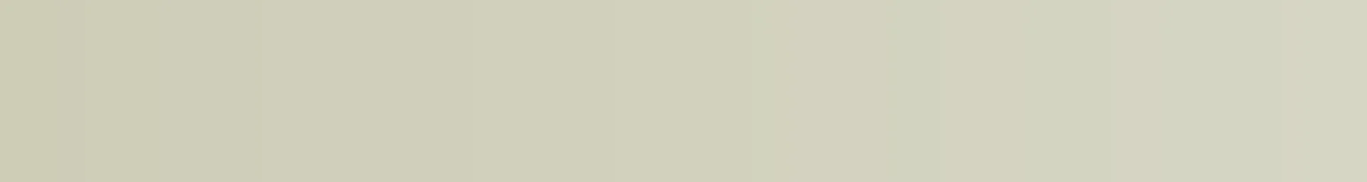 The Jungle Room Plant Co.