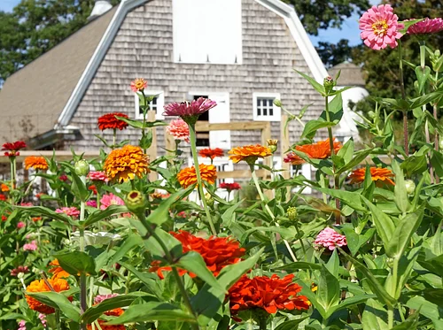 Brunch & Bouquets: Wildflower Arrangement Workshop