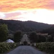 Amista Vineyards