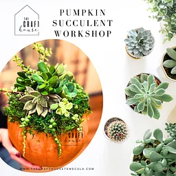 Feature Friday: Pumpkin Succulent Workshop