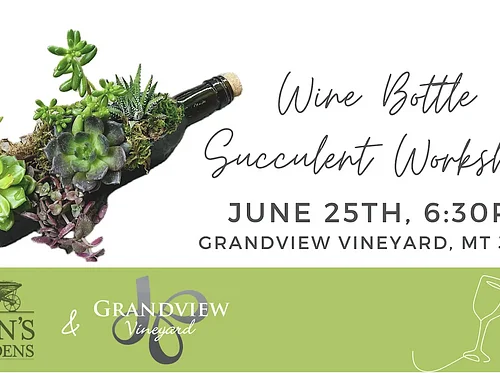 Wine Bottle Succulent Workshop at grandview