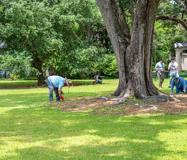 Thursday Garden Volunteers