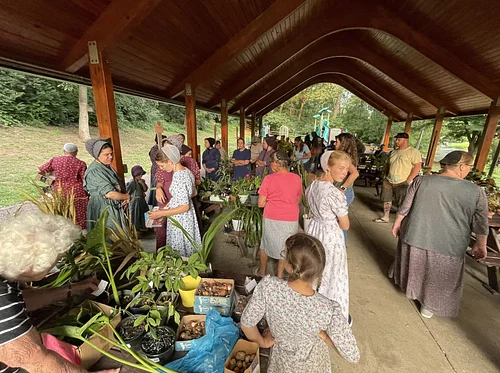 Fall Plant Swap