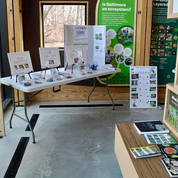 Pop-Up Display: Lichens