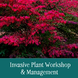 Invasive Plant Workshop & Management