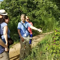 Guided Nature Hikes
