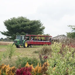 Farm Wagon Rides