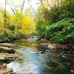 River Systems Field Class