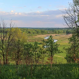 Conservancy Days: Wacky Weather & Tree Health with Glen Staosz