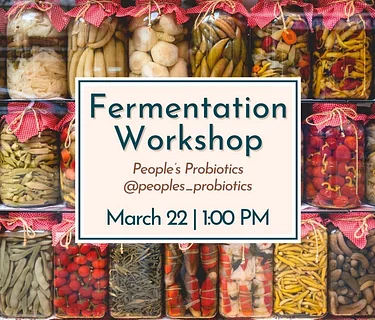 Artisan Spotlight: Fermentation Workshop with People’s Probiotics  