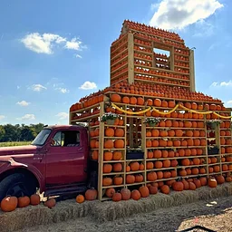 Fall Festival