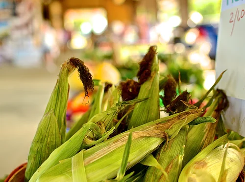 Annual Corn Festival