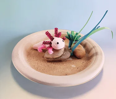 The Whaling Museum presents Axolotl Adventures