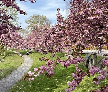 (UPDATED) Buds and Blossoms: A Spring Walk at Green-Wood