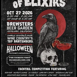 Wizards of Elixirs