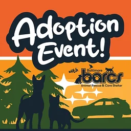 Subaru Loves Pets: BARCS Adoption Event