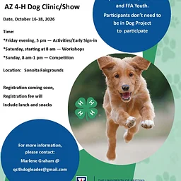 AZ 4-H Dog Clinic/Show