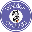 Waldor Orchids