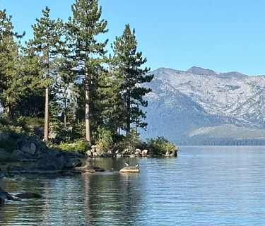 Lake Tahoe Artist Retreat — August 23 – 27, 2026