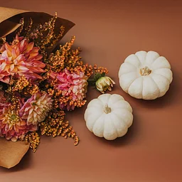 Harvest Market