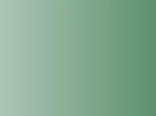 Visiting Food Truck: Chili Lime