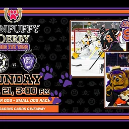 Reading Royals vs. Wheeling Nailers