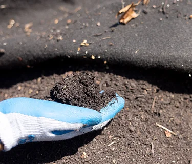 Farm Workshop: Bed Prep & Soil Health