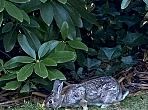 Tales on the Trails – Sounds of Spring