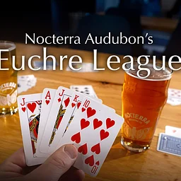Spring Euchre League: Mondays at Audubon