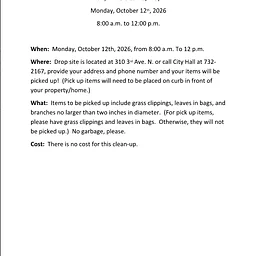 City Wide Clean up