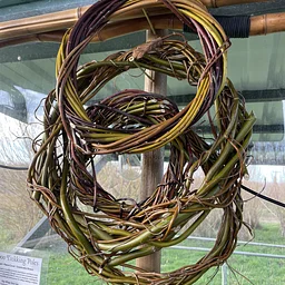 Willow Wreaths & Herbal Salves