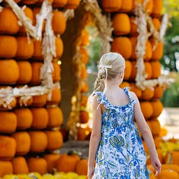 Pumpkins After Hours: A Sensory-Friendly Evening at the Dallas Arboretum