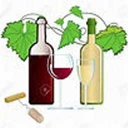 2-Hour Winemaking Class-Hilton