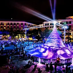 Sandi Tree Lighting By Clematis By Night