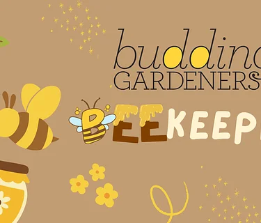 Budding Gardeners: Beekeeping