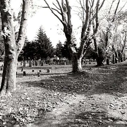 Sinners, Saints, and Silent Souls: A Special Halloween Burying Ground Walking Tour (Falmouth)