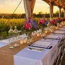 July Wine Pairing Dinner in the Vines at Old York Cellars Winery 🍇🌿