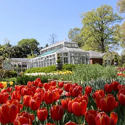 Symphony in the Gardens