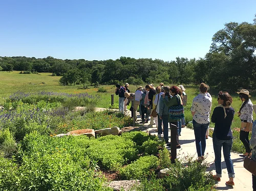 Nature Immersion Walk