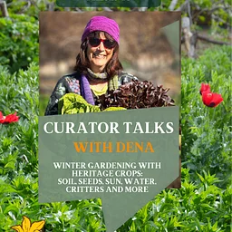 Curator Talks With Dena