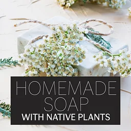 Homemade Soap with Native Plants