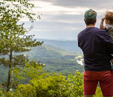 Family Bird Walk (Plymouth)
