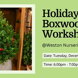 Holiday Boxwood Table Top Centerpiece Workshop – Chelmsford