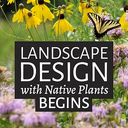 Landscape Design with Native Plants Begins