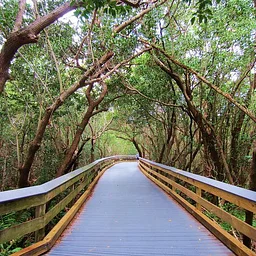 Nature Walks with the Conservancy