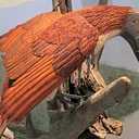 Birds: An Exploration Through Art